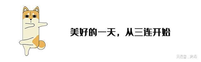 ”：营收216亿元连续十年口碑第一爱游戏app山东青岛诞生的冷柜大王(图2)